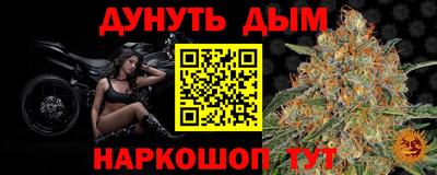стафф Новокубанск