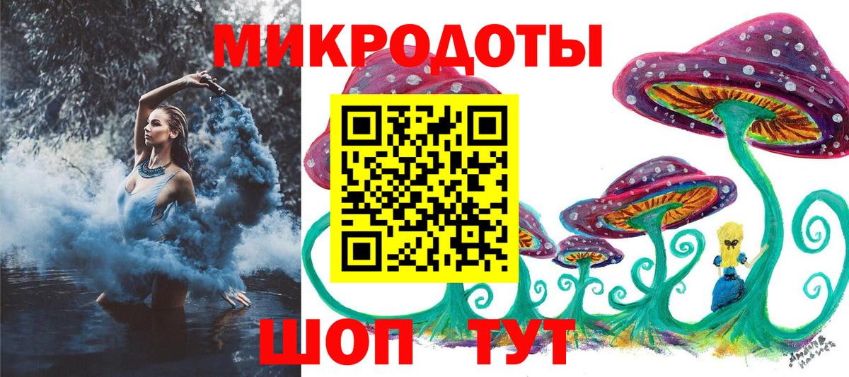 Галлюциногенные грибы Cubensis Серов