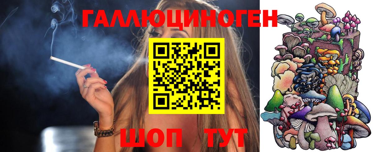 Псилоцибиновые грибы Psilocybe  Вход с VPN  Серов 